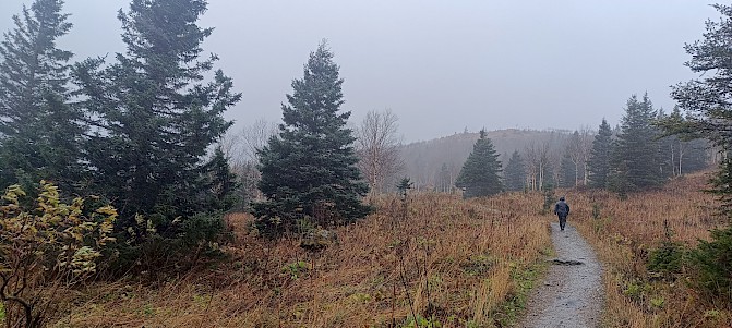 Ambiance brouillard